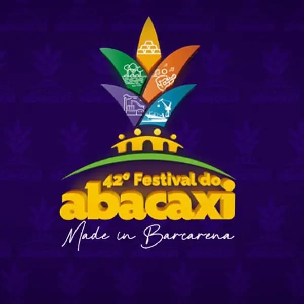 Comunicação Profissional no Festival do Abacaxi 2025